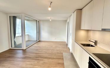 Wohnung 1.5 Zimmer - image - 3