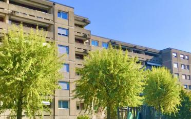 Place ouverte - image - 1