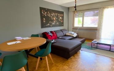 Apartment 3.5 rooms - image - 1