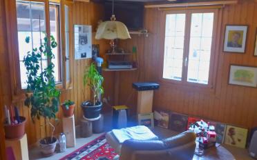 Wohnung 3 Zimmer - image - 1