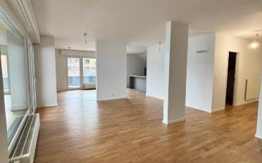 Attikawohnung 4.5 Zimmer - image - 3