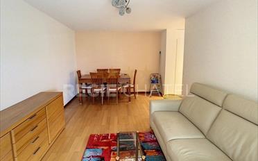 Apartment 2.5 rooms - image - 10