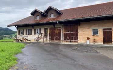 Appartement 5.5 pièces - image - 1