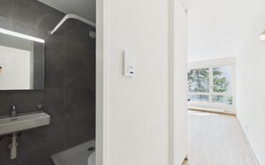 Apartment 1 room - image - 4