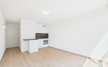 Apartment 1 room - image - 3
