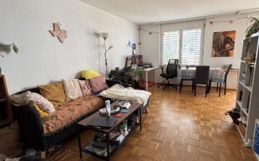 Wohnung 2.5 Zimmer - image - 1