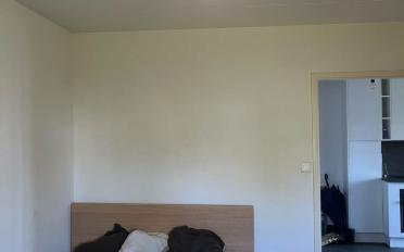 Apartment 2.5 rooms - image - 3
