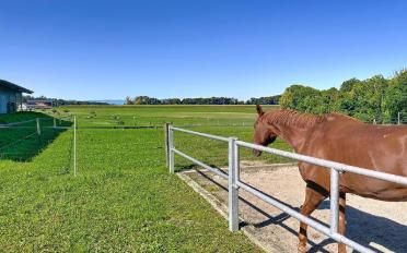 Landwirtschaftsbetrieb 4.5 Zimmer - image - 9