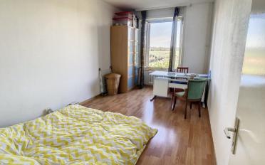 Wohnung 2.5 Zimmer - image - 1