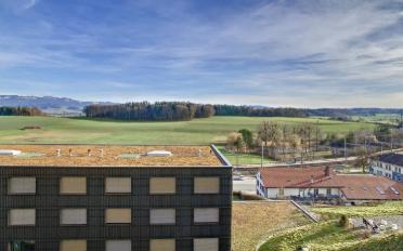 Wohnung 3 Zimmer - image - 9