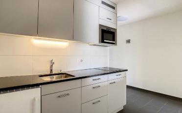 Apartment 1 room - image - 5