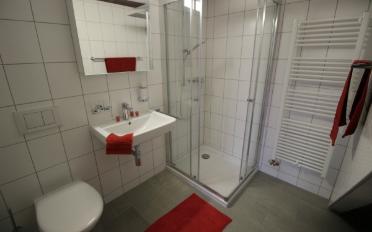 Apartment 2.5 rooms - image - 12