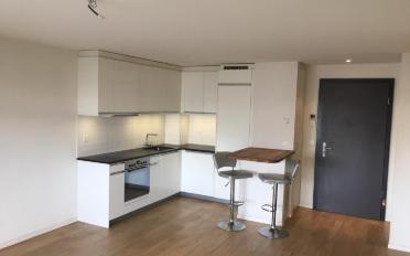 Wohnung 2.5 Zimmer - image - 4