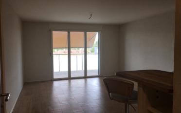 Wohnung 2.5 Zimmer - image - 1