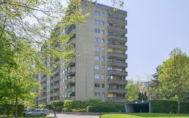 Place couverte - image - 1