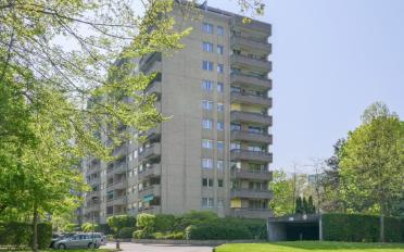Terrassenwohnung 6.5 Zimmer - image - 1