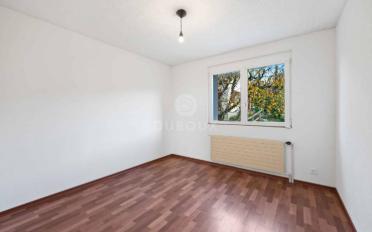 Villa 5.5 pièces - image - 9