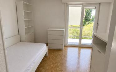 Wohnung ein Zimmer - image - 1