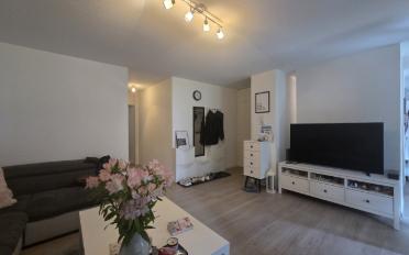 Wohnung 2.5 Zimmer - image - 1