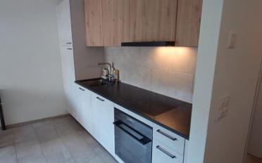 Appartement meublé 1 pièce - image - 4