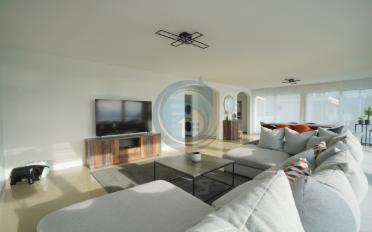 Apartment 3.5 rooms - image - 11