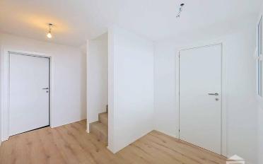 Doppeleinfamilienhaus 5.5 Zimmer - image - 2