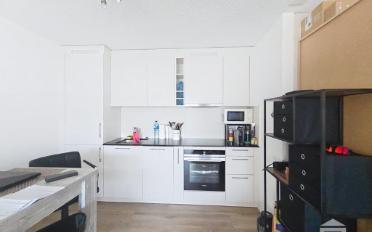 Wohnung ein Zimmer - image - 4