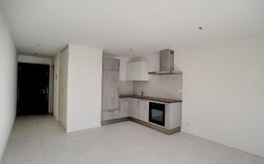 Wohnung 1.5 Zimmer - image - 3