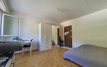 Wohnung ein Zimmer - image - 2