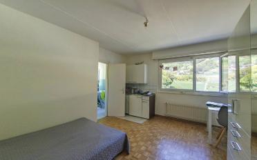 Wohnung ein Zimmer - image - 1