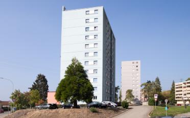 Wohnung ein Zimmer - image - 5