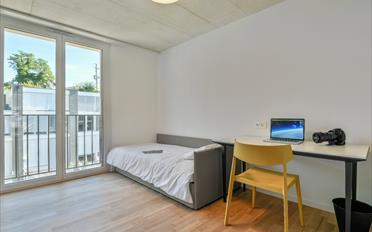 Chambre 1 pièce - image - 2