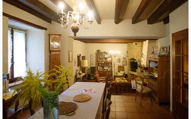 Single house 10 rooms - image - 5