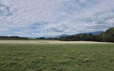 Maison contiguë 5.5 pièces - image - 10