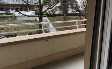 Wohnung 1.5 Zimmer - image - 5