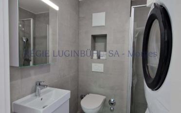 Appartement 3.5 pièces - image - 13