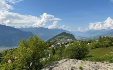 Single house - image - 7