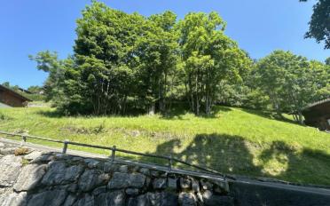 Terrain à bâtir - image - 5