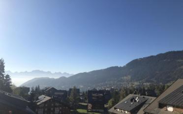 Wohnung 4.5 Zimmer - image - 9