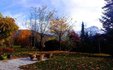 Chalet 7 Zimmer - image - 7