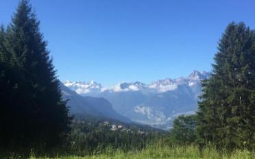 Chalet 7 Zimmer - image - 10