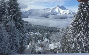 Chalet 7 Zimmer - image - 3