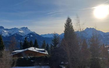 Chalet 4 rooms - image - 12