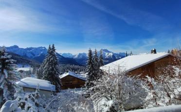 Chalet 8 rooms - image - 7