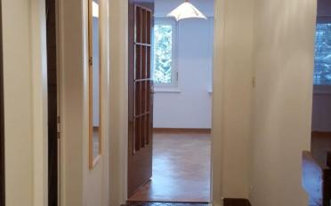 Wohnung ein Zimmer - image - 5
