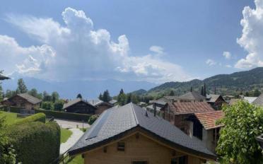 Chalet 4 Zimmer - image - 9