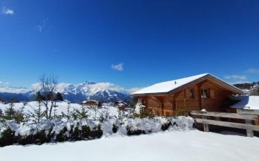 Chalet 6.5 Zimmer - image - 7