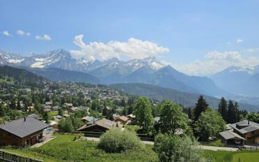 Chalet 7 rooms - image - 4