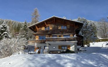 Chalet 4 Zimmer - image - 7