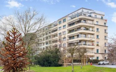 Wohnung 1.5 Zimmer - image - 1